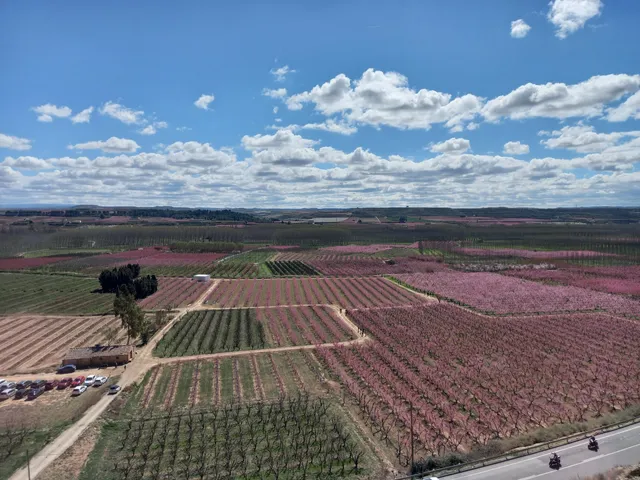 Ermita de Sant Joan de Carratala
