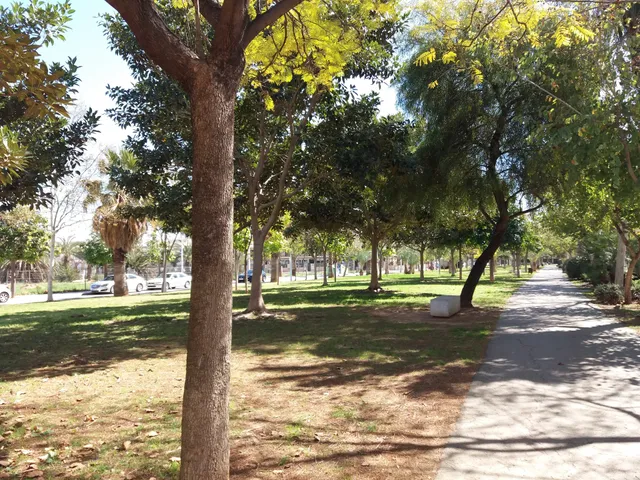 Passeig de la Primavera