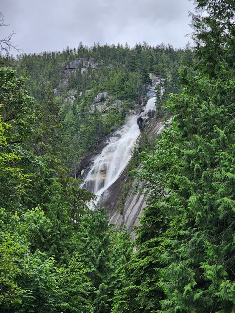 Shannon Falls