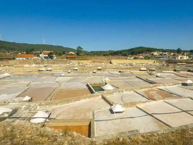 Salinas de Rio Maior