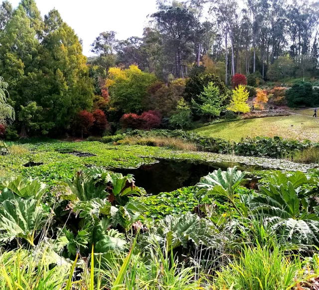 Mount Lofty Botanic Garden
