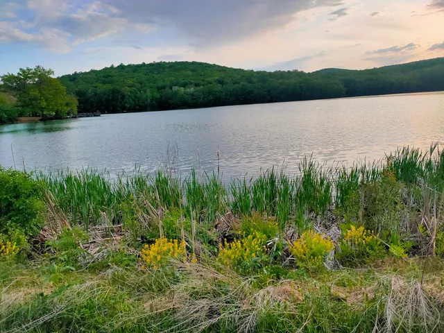 Furnace Lake Recreation Area