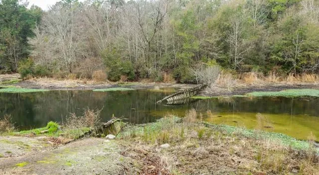 Magnolia Springs State Park