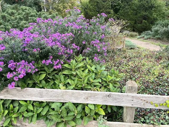 photo-1