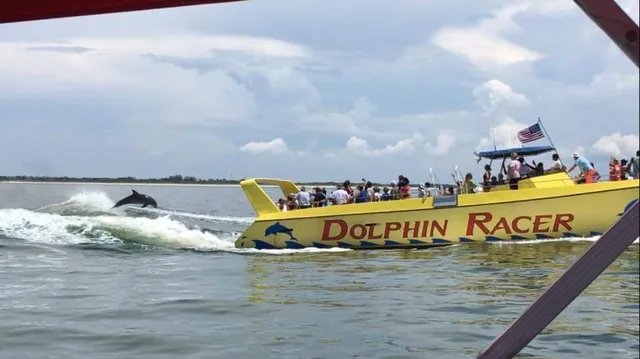 Dolphin Racer