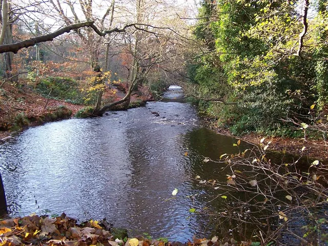 River Rivelin