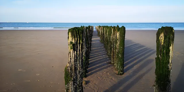 Albertstrand Beachbar