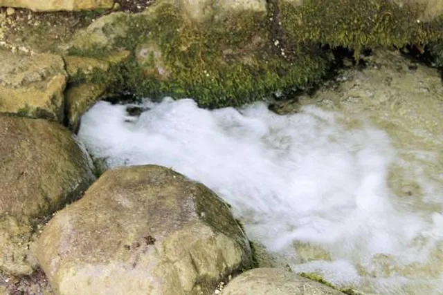 Big Rock Nature Preserve