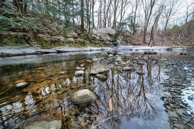 French Creek Reservation