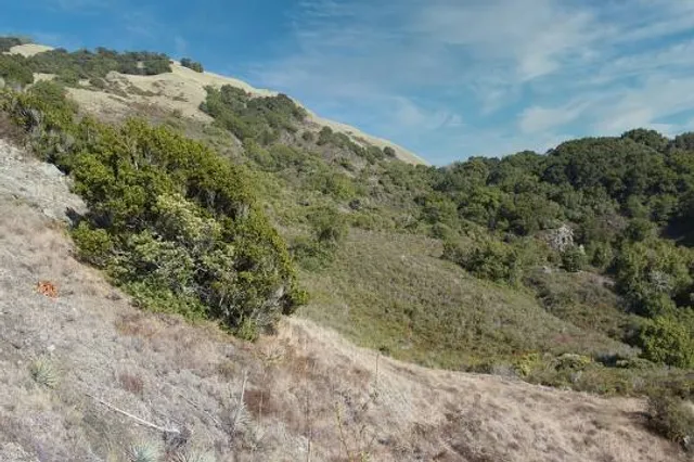 Ono Alps Obserbation Deck