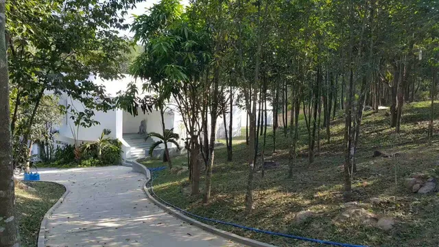 Khu Bảo tồn văn hoá trầm hương Hoàng Trầm