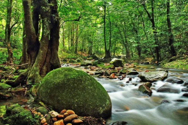 Taman Negeri Selangor
