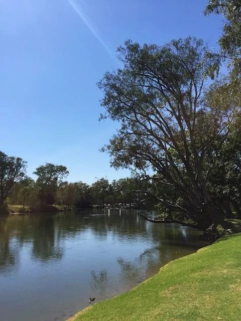 Noreuil Park Foreshore