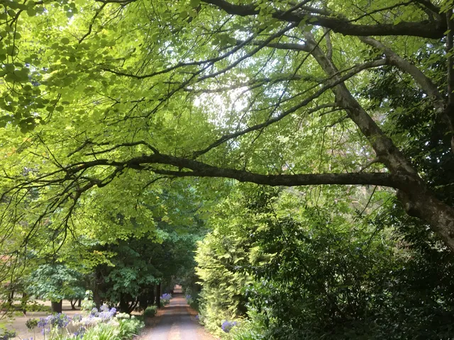 Cooinda - Historic Gardens & Homestead