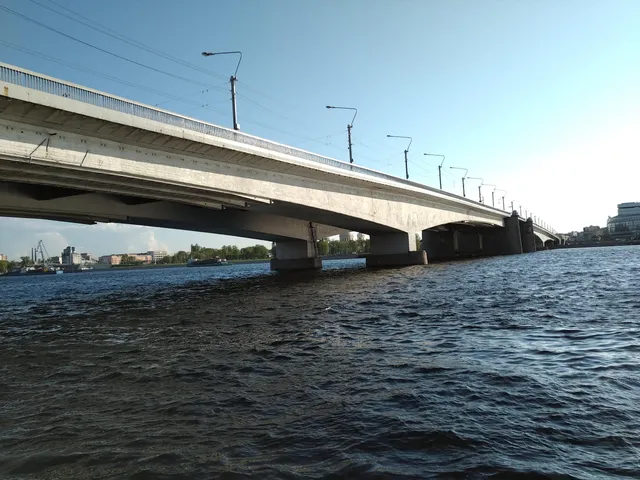 Alexander Nevsky Bridge
