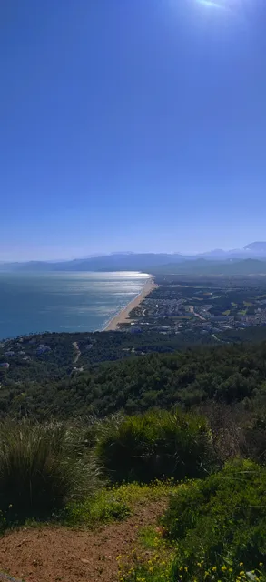 Bosque de Cabo Negro