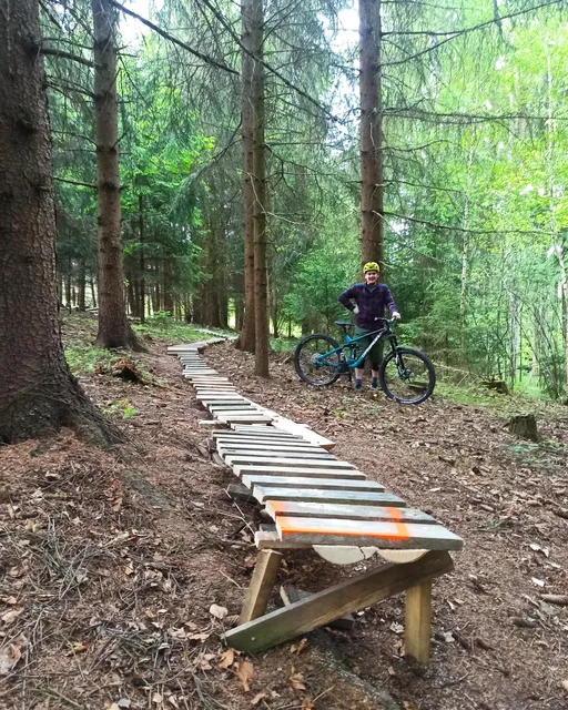 Březová nad Svitavou