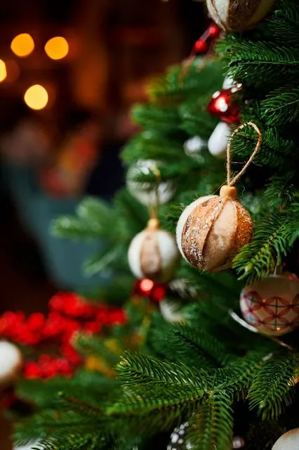 Gorodskaya Rezidentsiya Deda Moroza