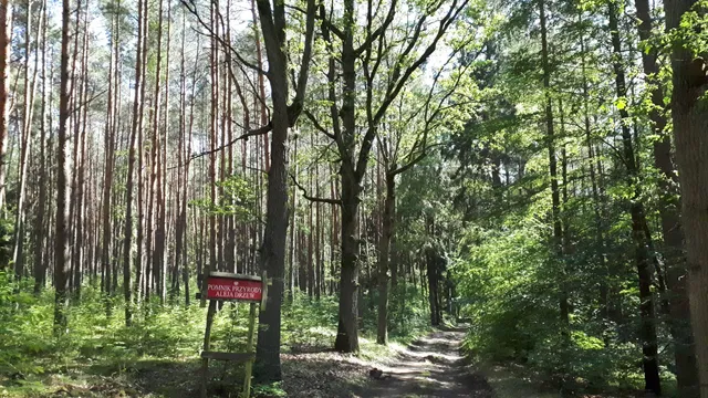 Gryżyński Park Krajobrazowy