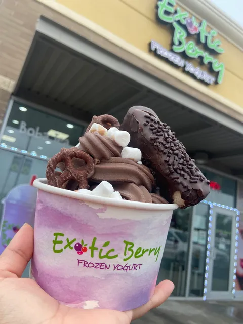 EXOTIC BERRY FROZEN YOGURT