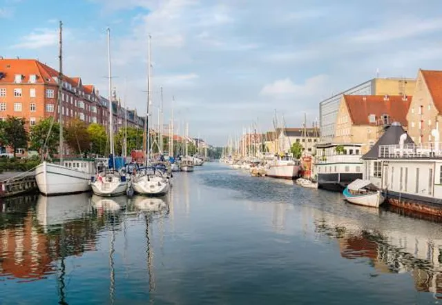 Butterfly 3-Way Bridge