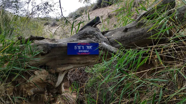 горы Кызылэшме