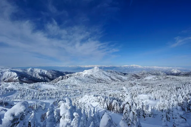Shiga Kogen Mountain Resort