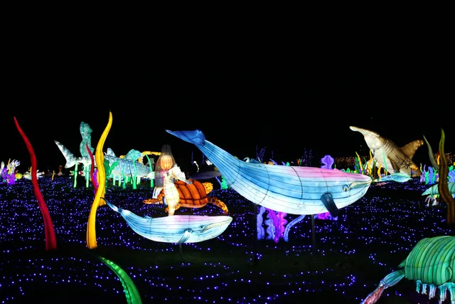 Thoiry Lumières Sauvages