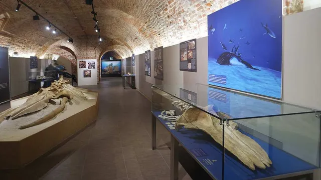 Museo Paleontologico Territoriale dell'Astigiano