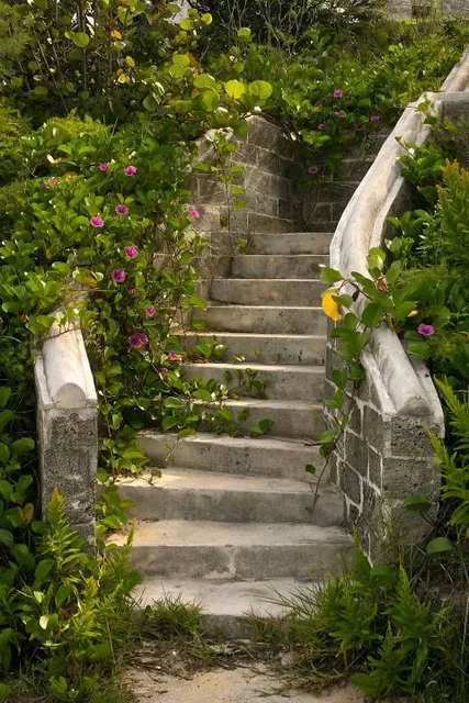 Hidden Garden Steps