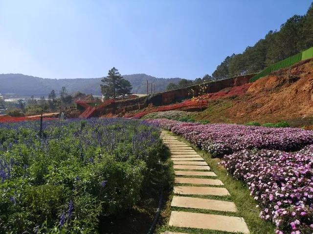 Nông Trại Cún Puppy Farm