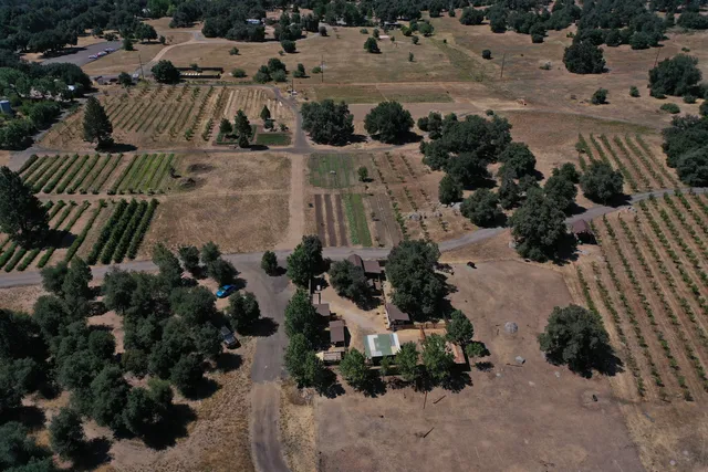 Julian Farm and Orchard