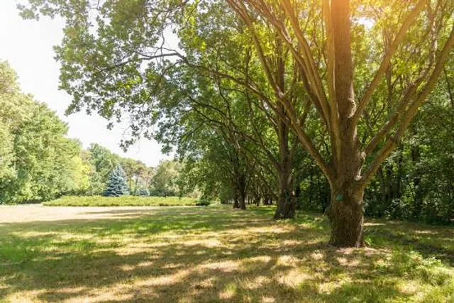 Reserva Municipal Los Robles