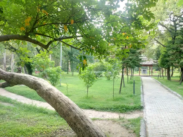 Van Chetna Park, Bassi Jana