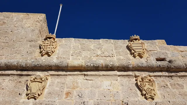 photo-1