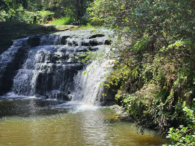 Lucas Creek Waterfall