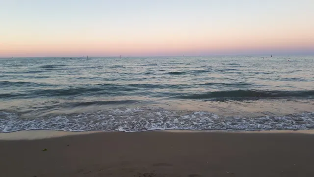 Plage publique pour chien