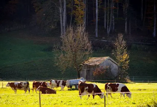 Takahi Submersible Bridge