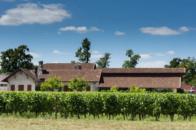 Musée de la Vigne et du Vin
