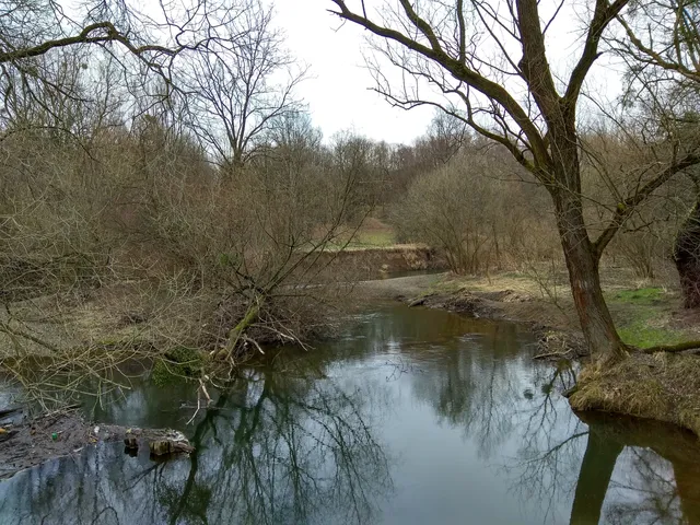 Lučina Rašman river meanders
