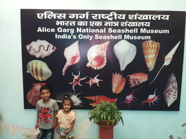 Alice Garg National Seashell Museum Jaipur