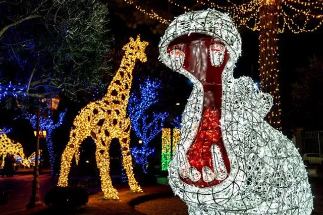 Denver Zoo Lights