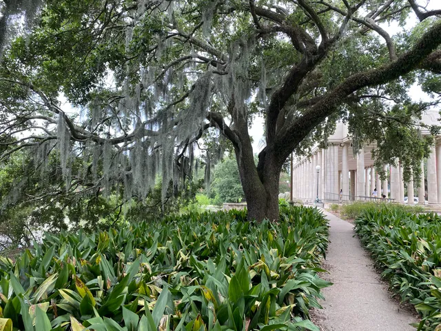 Goldring/Woldenberg Great Lawn