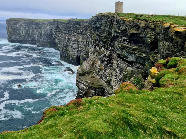RSPB Scotland Marwick Head Nature Reserve