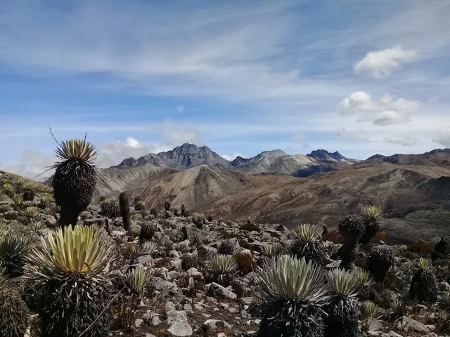 Sierra de La Culata National Park