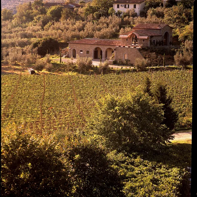 Baracchi Winery