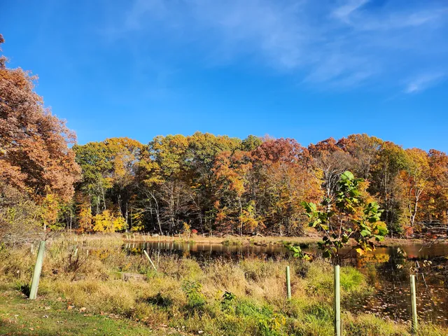 Blue Mountain Reservation Loop