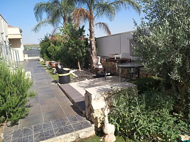 סוויטות ארגמון