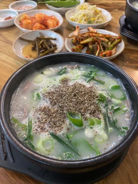 제주 대통 고사리 막창순대