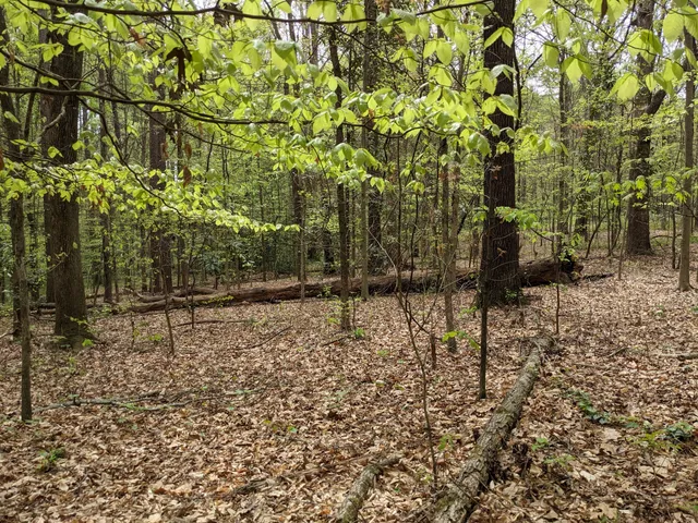 Tucker Nature Preserve